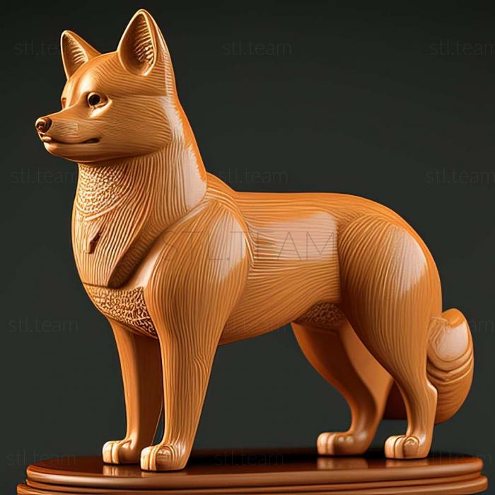 Animals Shiba Inu dog